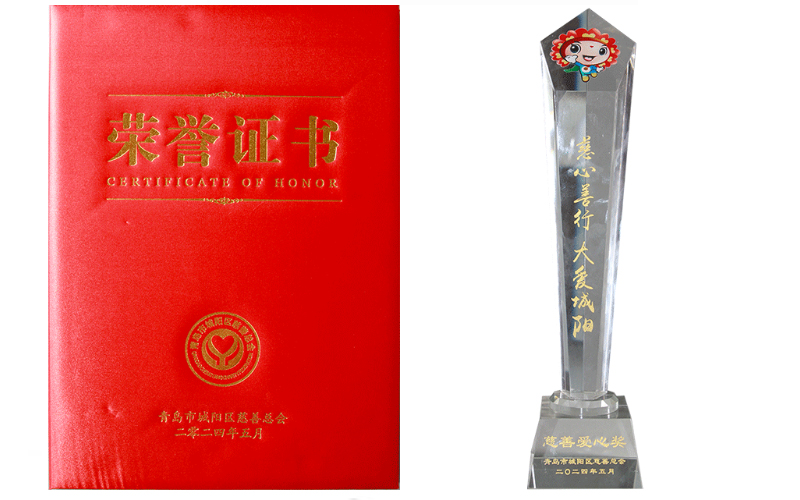 城陽區(qū)慈善愛心獎(jiǎng)榮譽(yù)證書