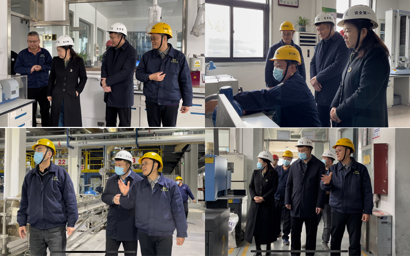 專家組參觀公司的研發(fā)技術(shù)中心、自動(dòng)化生產(chǎn)線